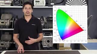 Tech Tips: Understanding Gamut When Using Sony's Monitors