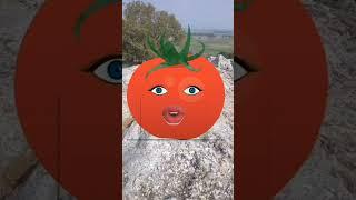 Tamater & Baingan Funny Video || #shorts