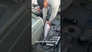 cage rage Outdoors catfishing