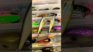 Супер приманка по Жереху Salmo Thrill  УБИЙЦА ЖЕРЕХА  рыбалка в Астрахани #salmo #fishing #жерех