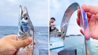 Hairtail Fish  A Liquid Metal Fish!