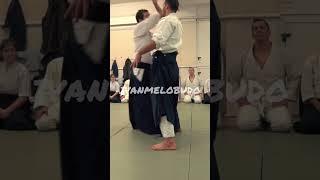 Sutemi waza #aikido #sutemiwaza #sacrifice