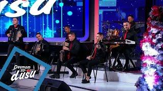 Orkestar Ace Nikolica Brajica - Veljino kolo - PZD - (LIVE) - (Tv Grand 23.12.2024.)