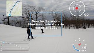 Skiing  Senator/Larway  Blue Mountain, Ontario 2022