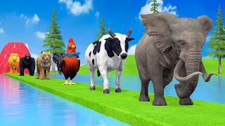 Paint & Animals Duck,Gorilla,Lion,Elephant,Cow,Sheep Fountain Crossing Transformation Animal Cartoon