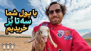 ورود حماسی خانواده‌ی بُزها به مزرعه