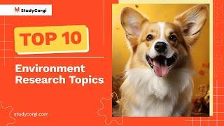 TOP-10 Environment Research Topics