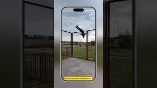 POLICE worst NIGHTMARE | IPhoneDial #shorts