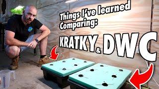 Deep Water Culture vs Kratky... And the Importance of Air Flow in Indoor Systems