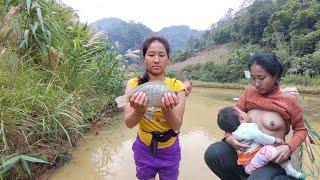 Catching Fish to Make Delicious Dishes for Mother and Children - Life in Vietnam