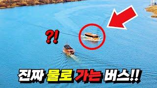 물 위를 달리는 버스타고 여행 다녀왔습니다!! | 모든 곳이 걸어서 5분 거리인 차 필요 없는 '이곳!' | 국내 당일치기 여행 | 대중교통 | 걷는 여행 | 걷기 쉬운 명소