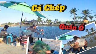 Cá Chép Quấn Ổ l Mồi Xuống Là Đớp l Phao Thụt Liên Tục