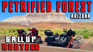 Road Trip to Route 66 - Gallup - Petrified Forest (Arizona) - Ep5