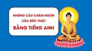 HỌC TIÊNG ANH HIỂU QUẢ: BÀI 8 NHỮNG CÂU CHÂM NGÔN HAY NHẤT TRONG TIẾNG ANH