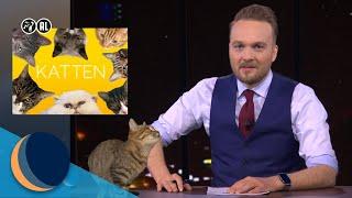 En nou is het afgelopen met katten | De Avondshow met Arjen Lubach (S3)