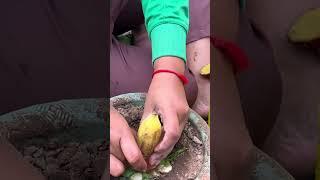 How to cultivate carrots and bananas in a bucket #shorts