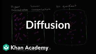 Diffusion | Membranes and transport | Biology | Khan Academy