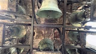 Le campane di Cannobio (VB) Collegiata di San Vittore Martire