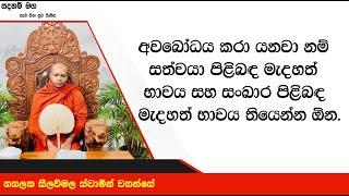 මැදහත් භාවය තියෙන්න ඕන.2467Ven Hasalaka Seelawimala Thero