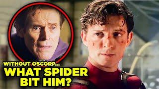 Spider-Man No Way Home: MCU Peter Powers Origin Explained!