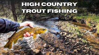 Epic Trout Fishing Adventure in Victoria's High Country – Brown & Rainbow Trout Action!