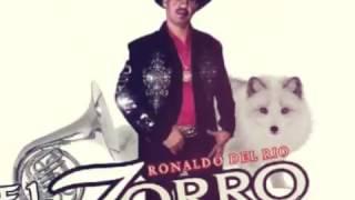 El zorro del corrido - corrido de Lilia Ramirez