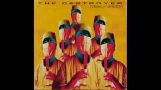 The Destroyer - Distorted Terror