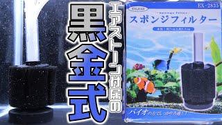 【スポンジフィルター】アマゾンのブラックフライデーで唯一購入した中にエアストーンが入るタイプ。EXLEAD JAPAN スポンジフィルターEX-2835【ふぶきテトラ】