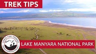 Lake Manyara National Park  - What to Expect on Your African Safari | Trek Tips