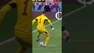 Courtois fake  #football #courtois #worldcup