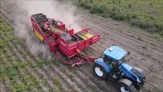 Kartoffelernte mit den Grimme SE 150-60 bei Goldenstedt.