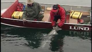 +50 Pound Lake Trout - Adventures North