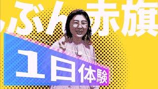 「しんぶん赤旗」１日体験記！　2023.12.1