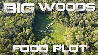 25 BUCKS on 18 ACRES...How Food Plots TRANSFORMED my PROPERTY // Vitalize Seed