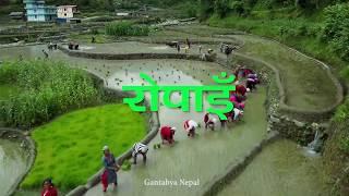 ROPAIN VLOG | Teaser| Gantabya Nepal