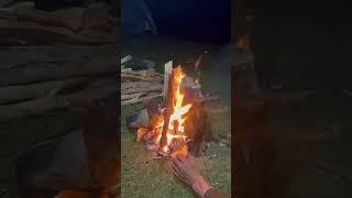 Night camping at Pahalgam Kashmir#nature #trending #shorts #viral #campfires