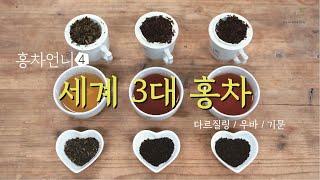 세계 3대 홍차 / 홍차 마스터 과정 / Top 3 Best Black teas #홍차언니 #한국티소믈리에연구원