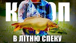 Короп в літню спеку #fishing