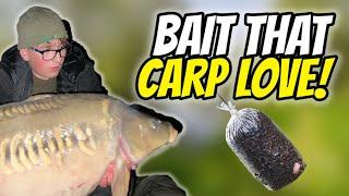 The Best Baits For Winter Carp Fishing!