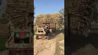 Ursus 3512 tarctor #ursustractor #farming #ursus #funnyclips #comedyvideos #agriculture