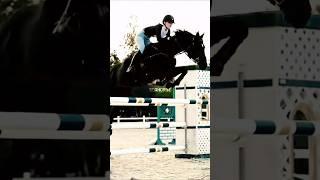 Black horse for a Black night,#edits #horse #showjumping #equestrian #tiktokaudios #viral