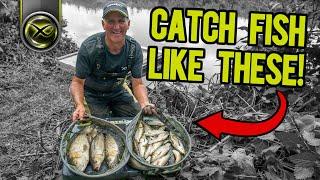 BAG UP ON RIVERS! (Mark Pollard's TOP WAGGLER TIPS!)