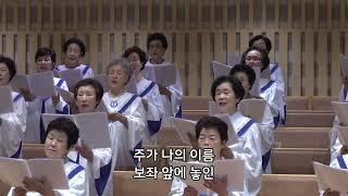 구름 같은 이 세상 - 반야월교회 주은혜 찬양대 240922 1부