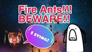 Fire Ants! Beware! Don't Try This At Home #fireants #shorts #dangerous #nature