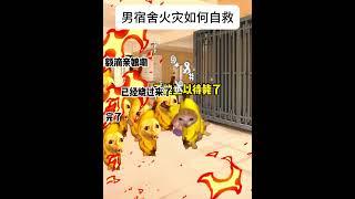 男宿舍火灾如何自救  #猫meme #funny #迷恋  #猫meme小剧场 #cat #萌宠  #meme猫 #貓 #meme  #cute