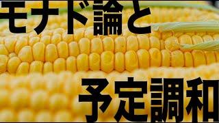 【ライプニッツ】西洋哲学史解説【モナド】【予定調和】