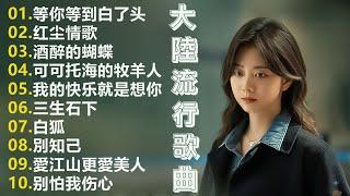 2024華語流行歌曲50首大陸流行歌曲 2024流行歌曲  Top Chinese Songs 2024等你等到白了头 \ 红尘情歌  \ 酒醉的蝴蝶 \ 可可托海的牧羊人