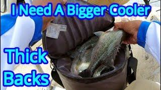 Crappie Fishing With Jigs | Live Scope Crappie Fishing