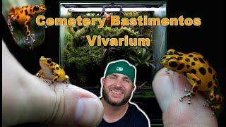 Oophaga Pumilio Cemetery Bastimentos Bioactive Vivarium IN DEPTH