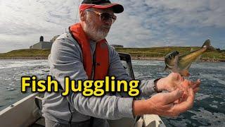 Fishing: Fish Juggling: FISHnTHINGS: Aberdeenshire:  